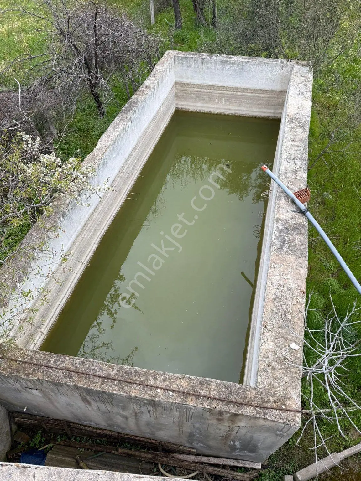 9216 M2 Baraj Manzaralı Bu Zeytinliği Gören Vazgeçemiyor! 🌿 - Görsel 10