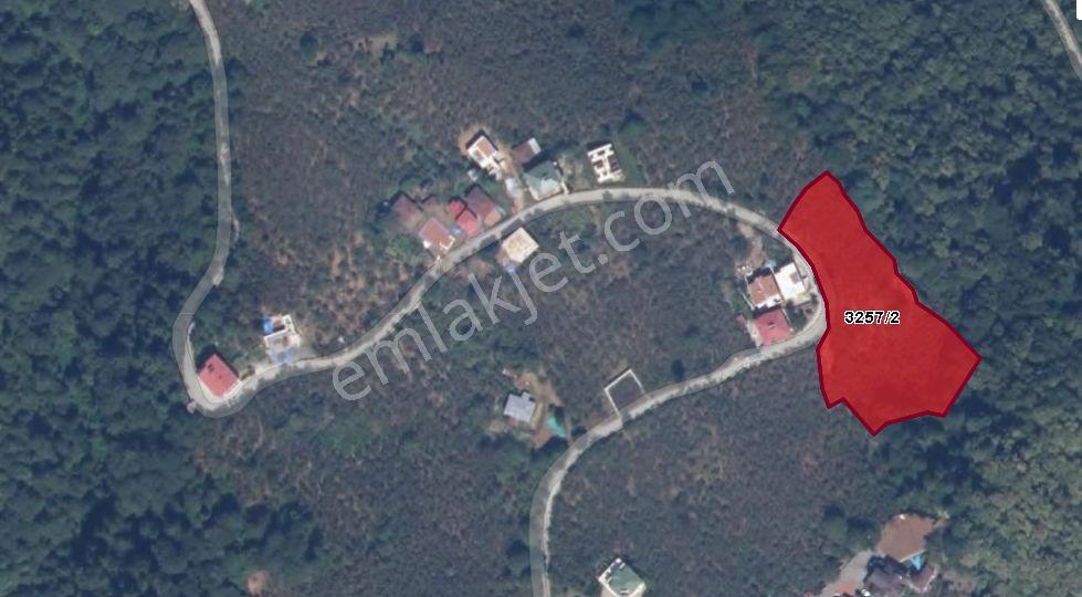 Wisrem'den Ortahisar Çağlayan'da Satılık Fındık Bahçesi - Görsel 47