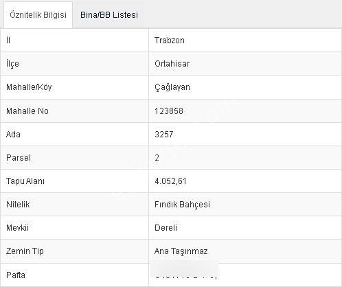 Wisrem'den Ortahisar Çağlayan'da Satılık Fındık Bahçesi - Görsel 44