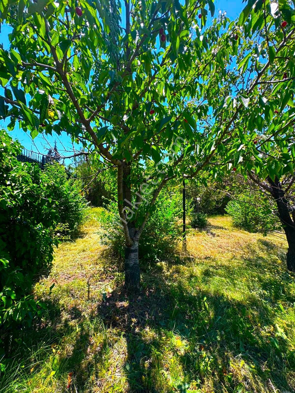 Turyap'tan Gölbaşı Ballıkpınar'da1500m² Arsası İçinde Köşe Villa - Görsel 9