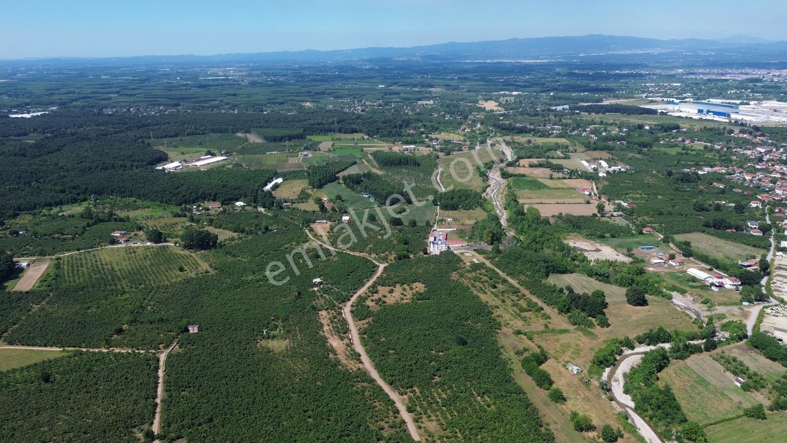 Karapürçek Mahallesinde 2 Tapudan Oluşan Toplamı 20000m2 Tarla - Görsel 8