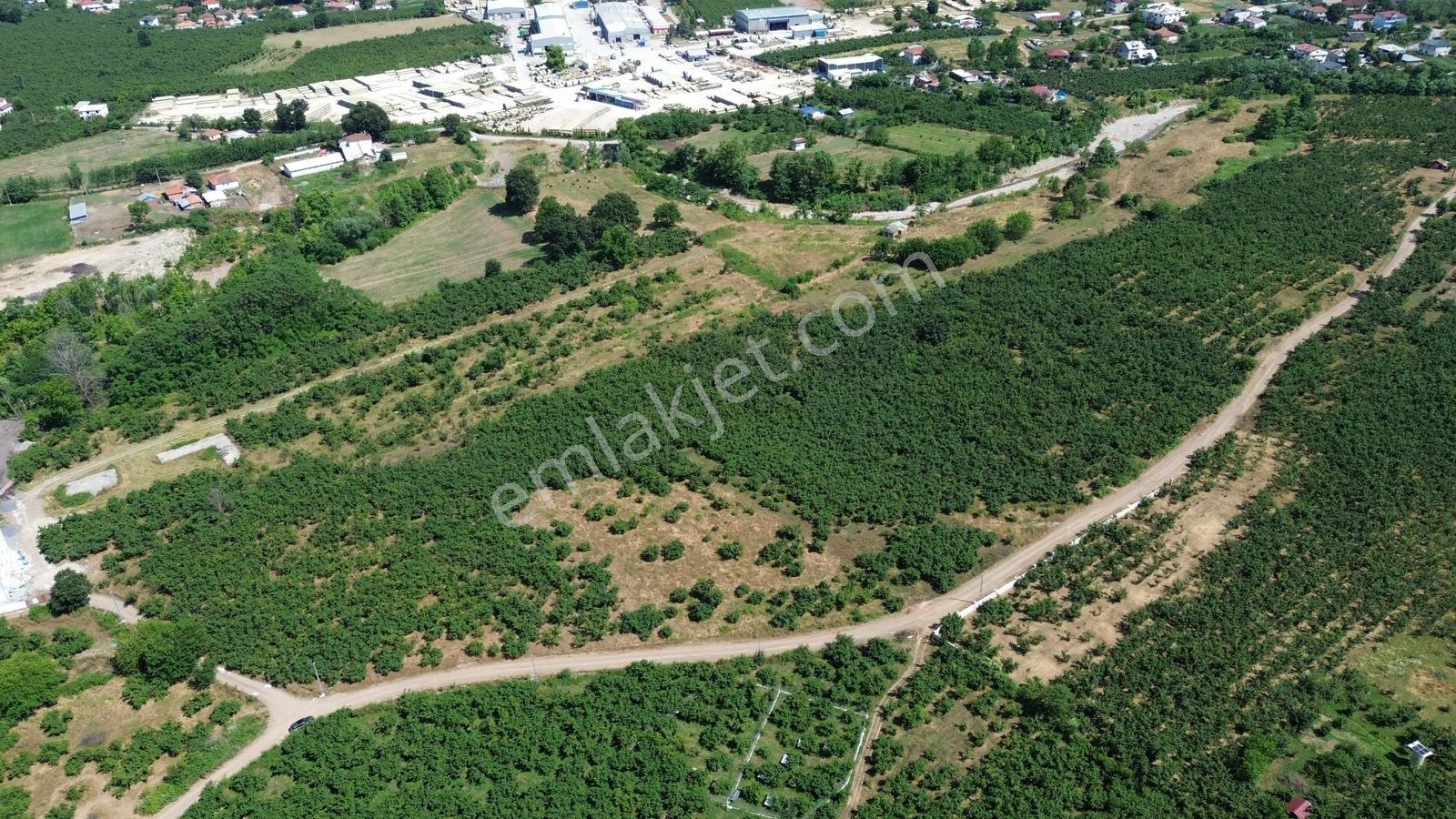 Karapürçek Mahallesinde 2 Tapudan Oluşan Toplamı 20000m2 Tarla - Görsel 3