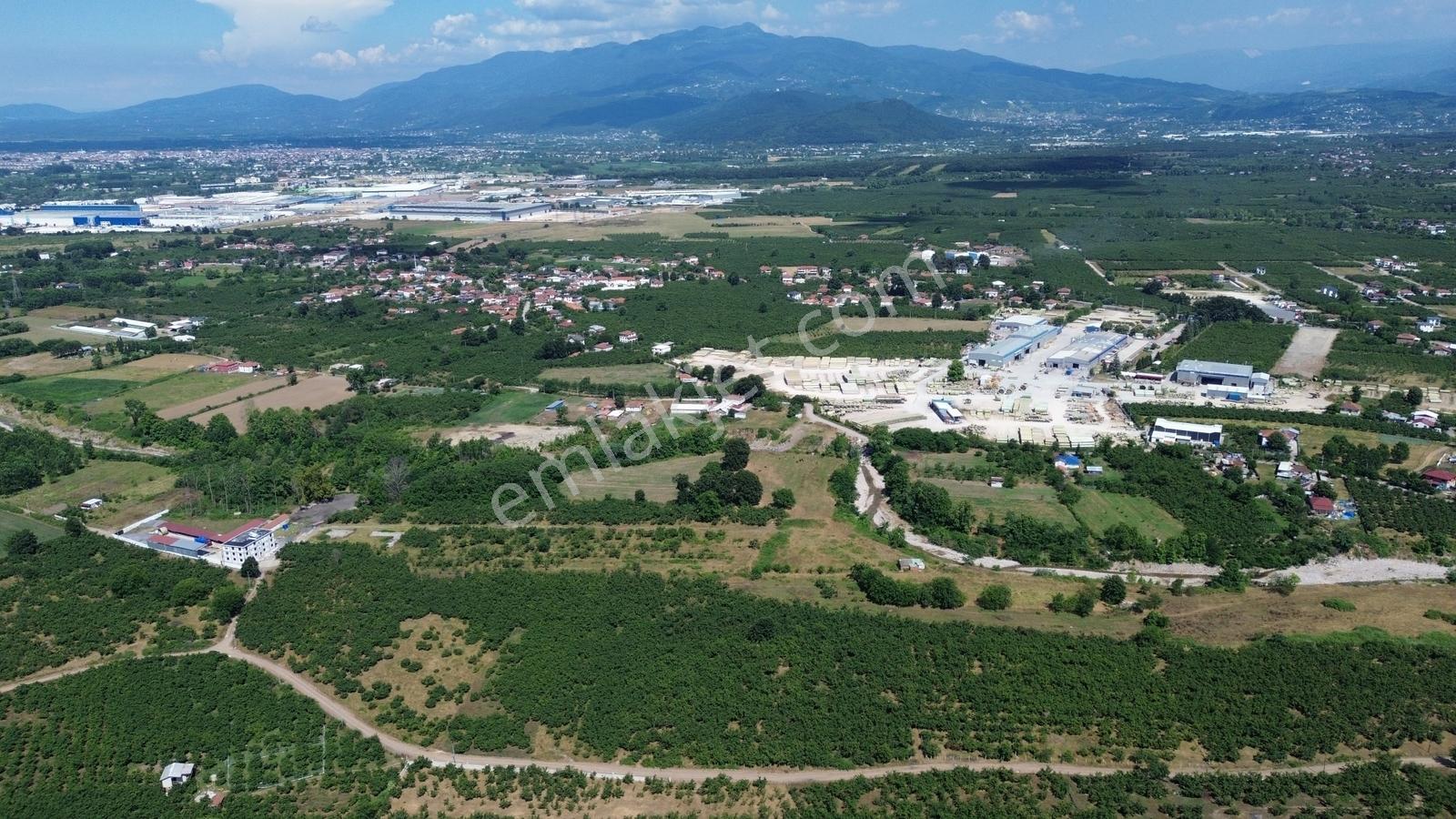 Karapürçek Mahallesinde 2 Tapudan Oluşan Toplamı 20000m2 Tarla - Görsel 4