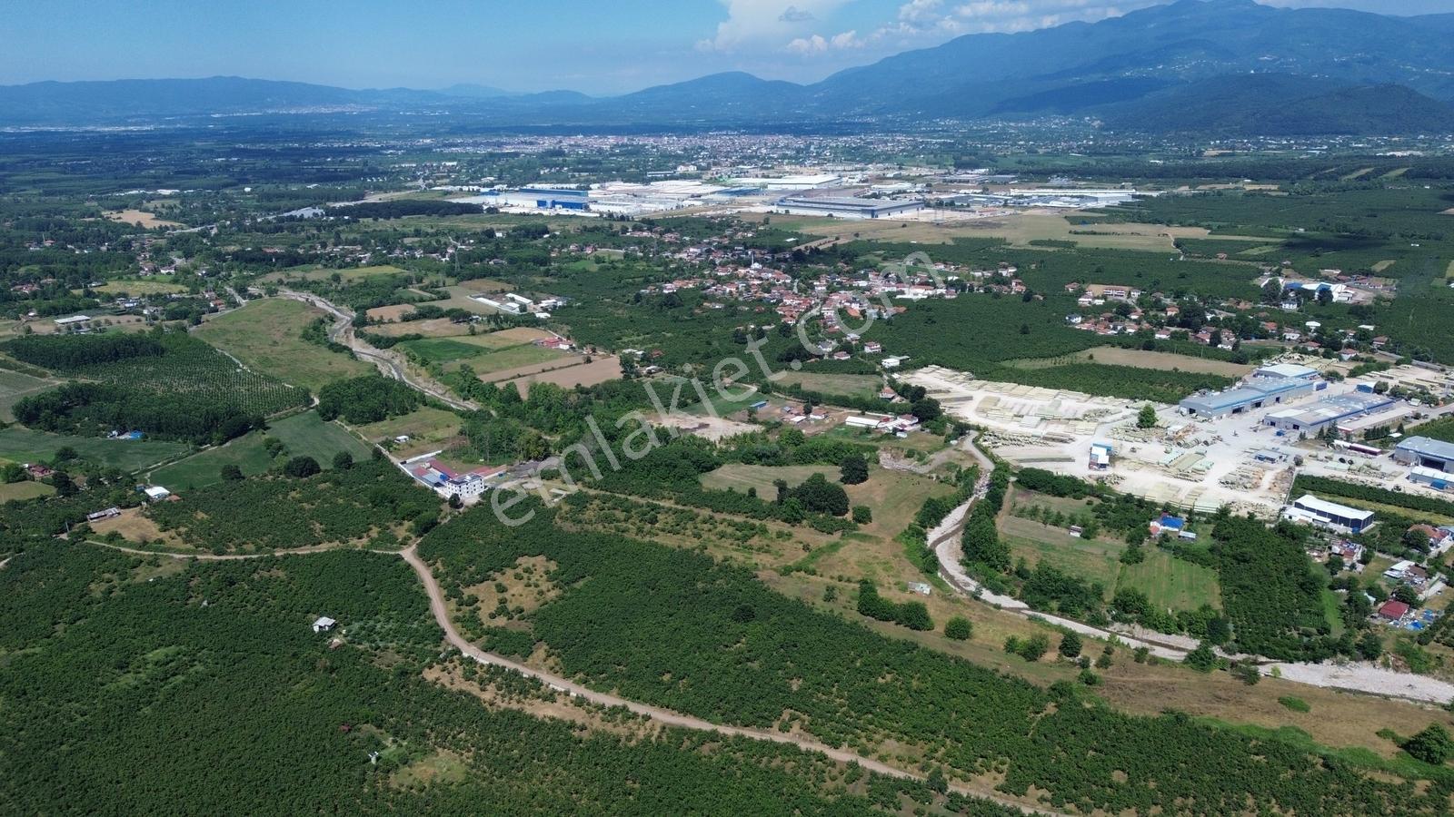 Karapürçek Mahallesinde 2 Tapudan Oluşan Toplamı 20000m2 Tarla - Görsel 16