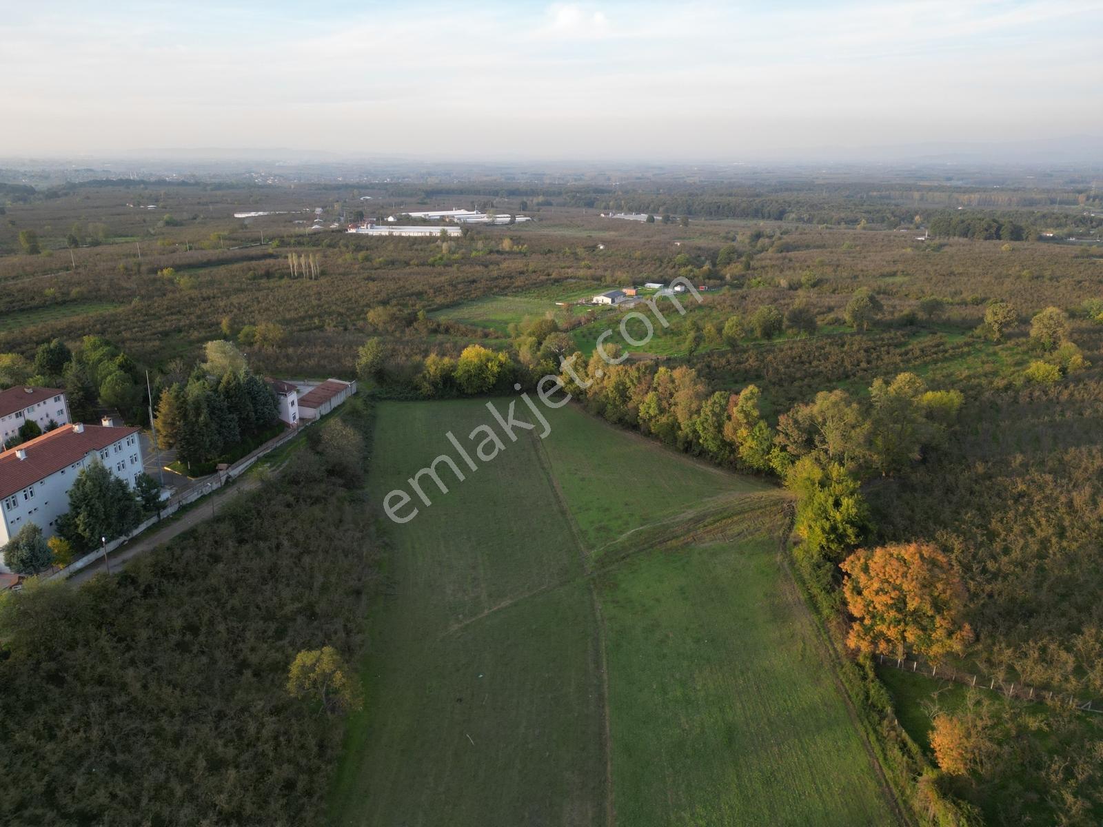 434 M2 Konut İmarlı Satılık Arsa Karapürçek Merkez - Görsel 3