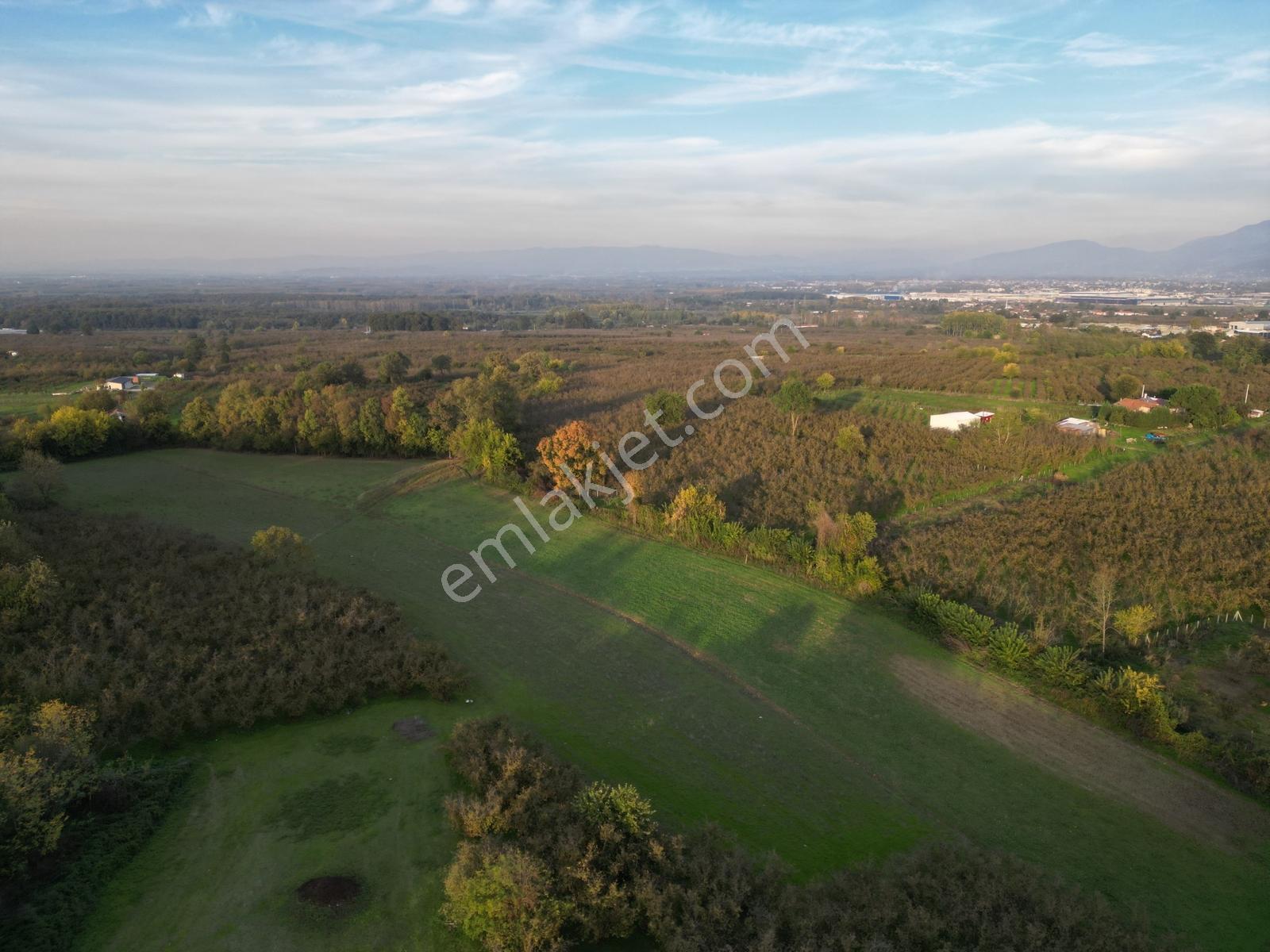 434 M2 Konut İmarlı Satılık Arsa Karapürçek Merkez - Görsel 11