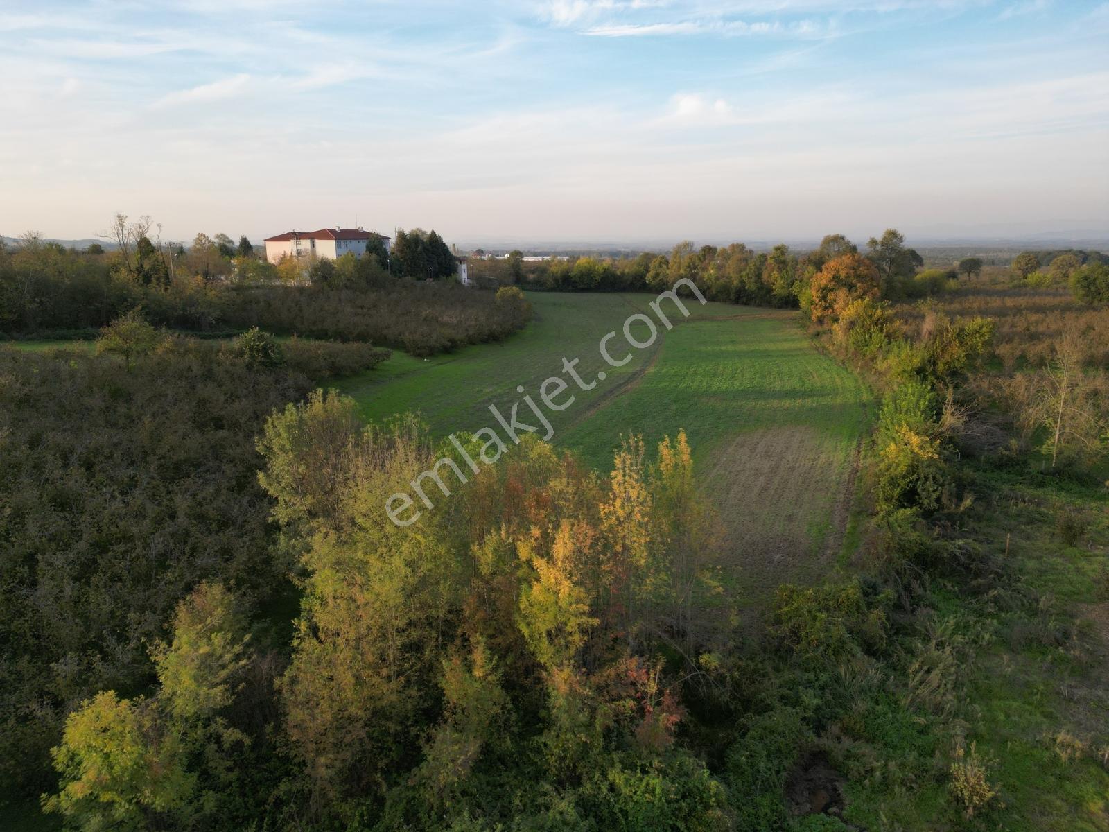434 M2 Konut İmarlı Satılık Arsa Karapürçek Merkez - Görsel 6
