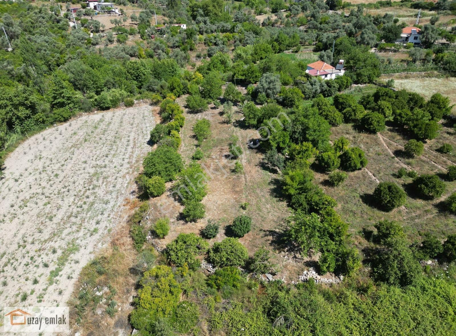 Milas Ören Dereköy'de 1.972 M² Meyve Ağaçlı Satılık Tarla - Görsel 4