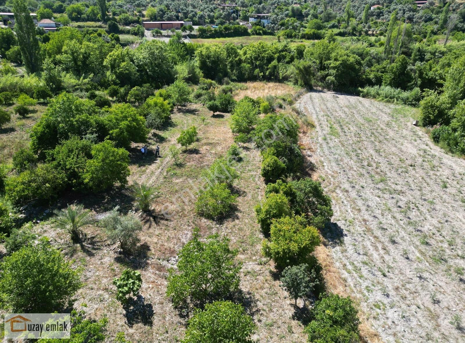 Milas Ören Dereköy'de 1.972 M² Meyve Ağaçlı Satılık Tarla - Görsel 6
