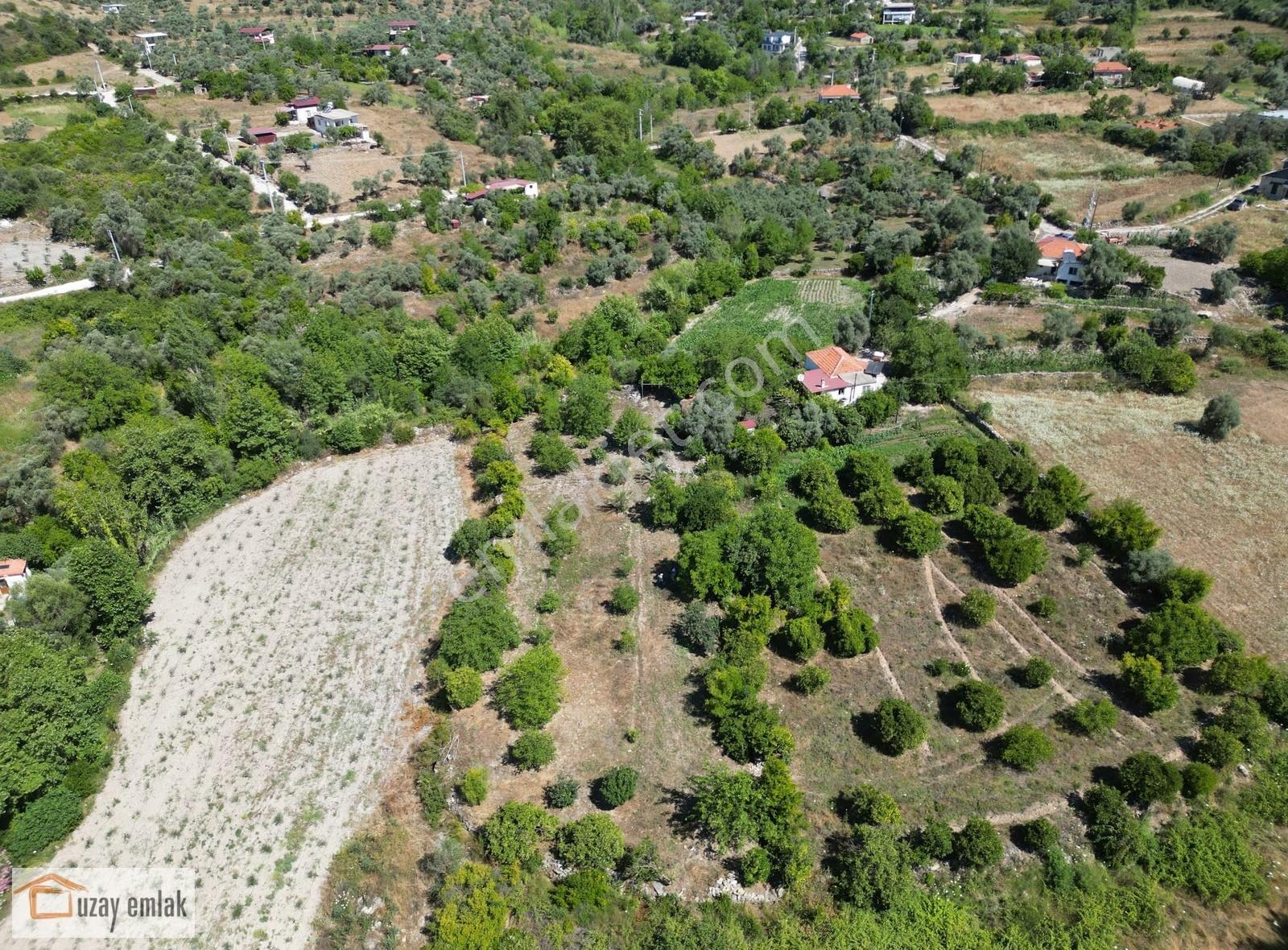 Milas Ören Dereköy'de 1.972 M² Meyve Ağaçlı Satılık Tarla - Görsel 5