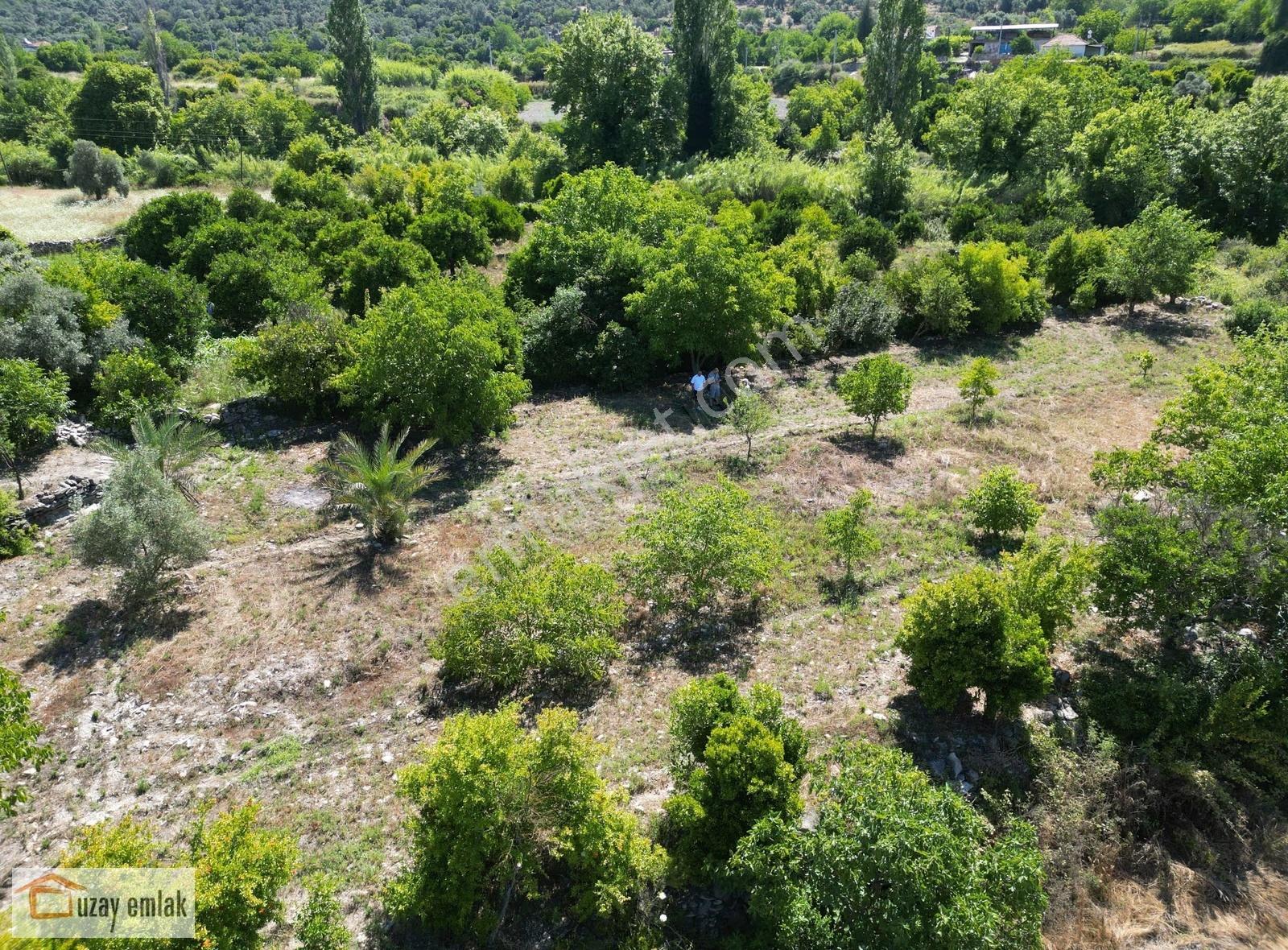 Milas Ören Dereköy'de 1.972 M² Meyve Ağaçlı Satılık Tarla - Görsel 14