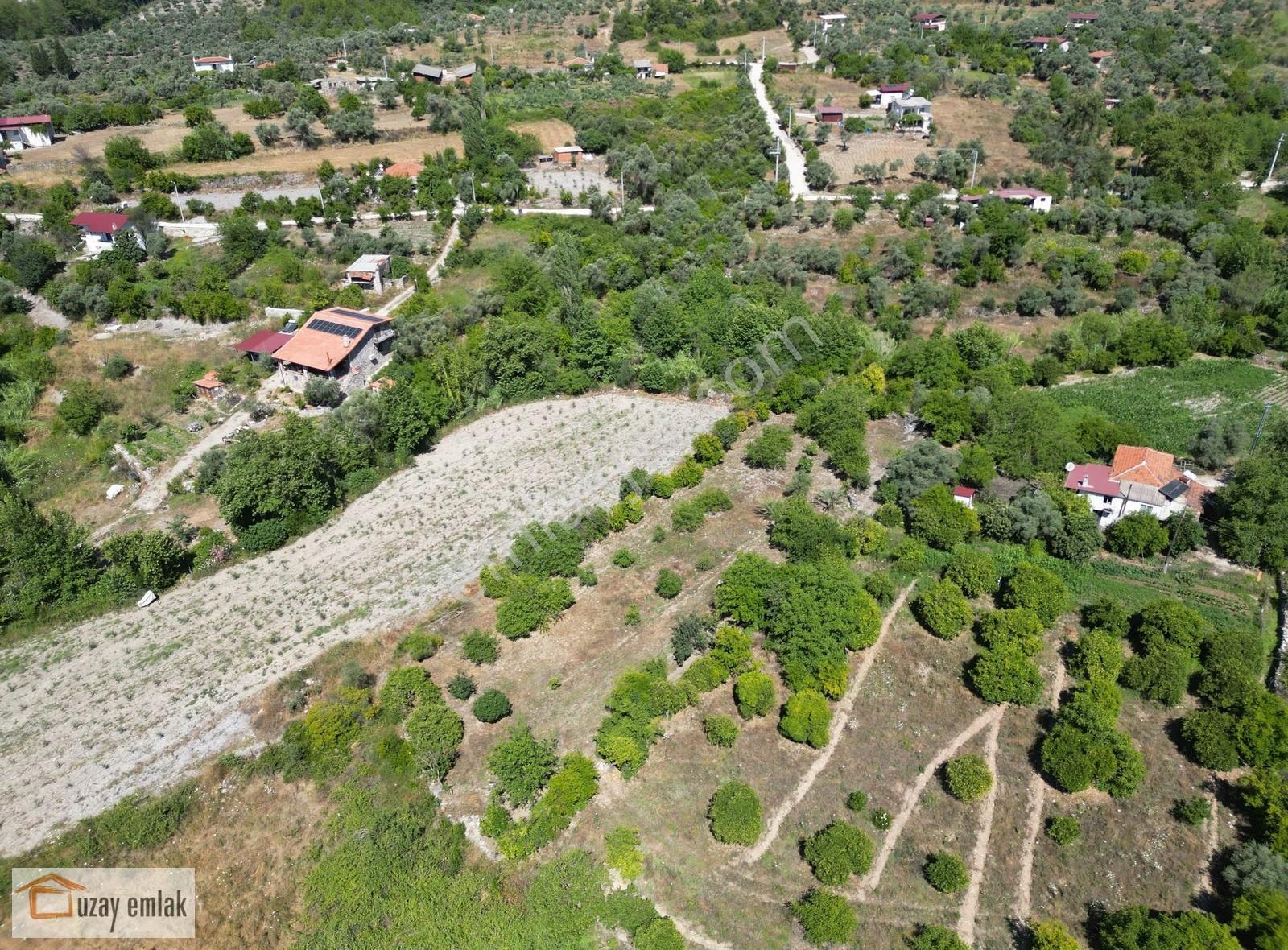Milas Ören Dereköy'de 1.972 M² Meyve Ağaçlı Satılık Tarla - Görsel 10
