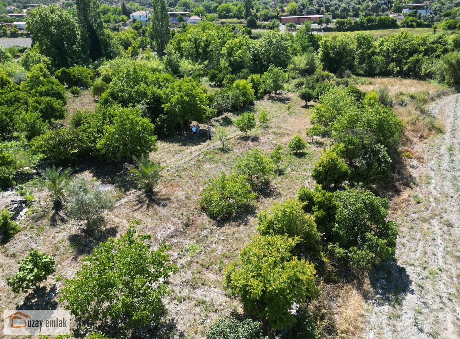 Milas Ören Dereköy'de 1.972 M² Meyve Ağaçlı Satılık Tarla - Görsel 15