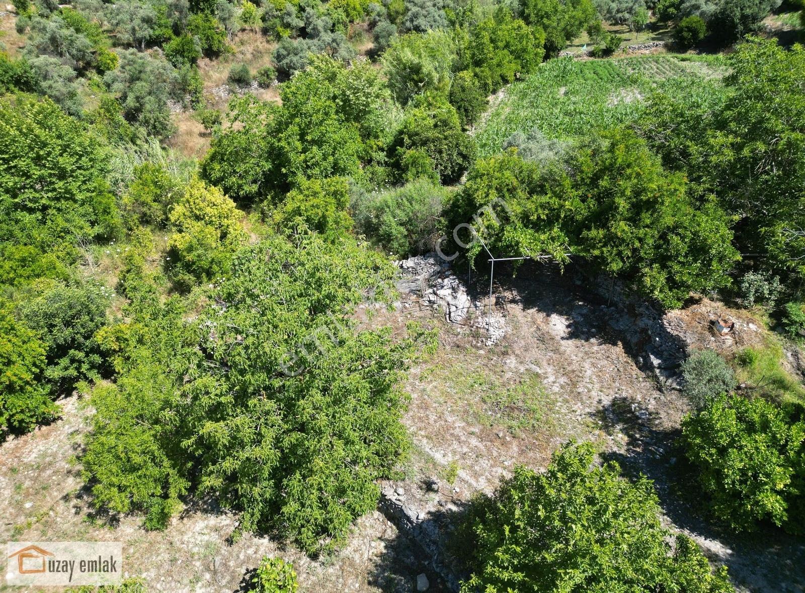 Milas Ören Dereköy'de 1.972 M² Meyve Ağaçlı Satılık Tarla - Görsel 11