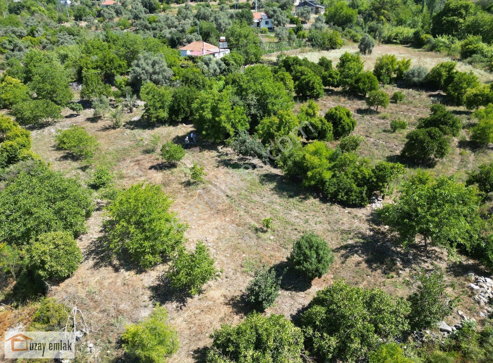 Milas Ören Dereköy'de 1.972 M² Meyve Ağaçlı Satılık Tarla - Görsel 13