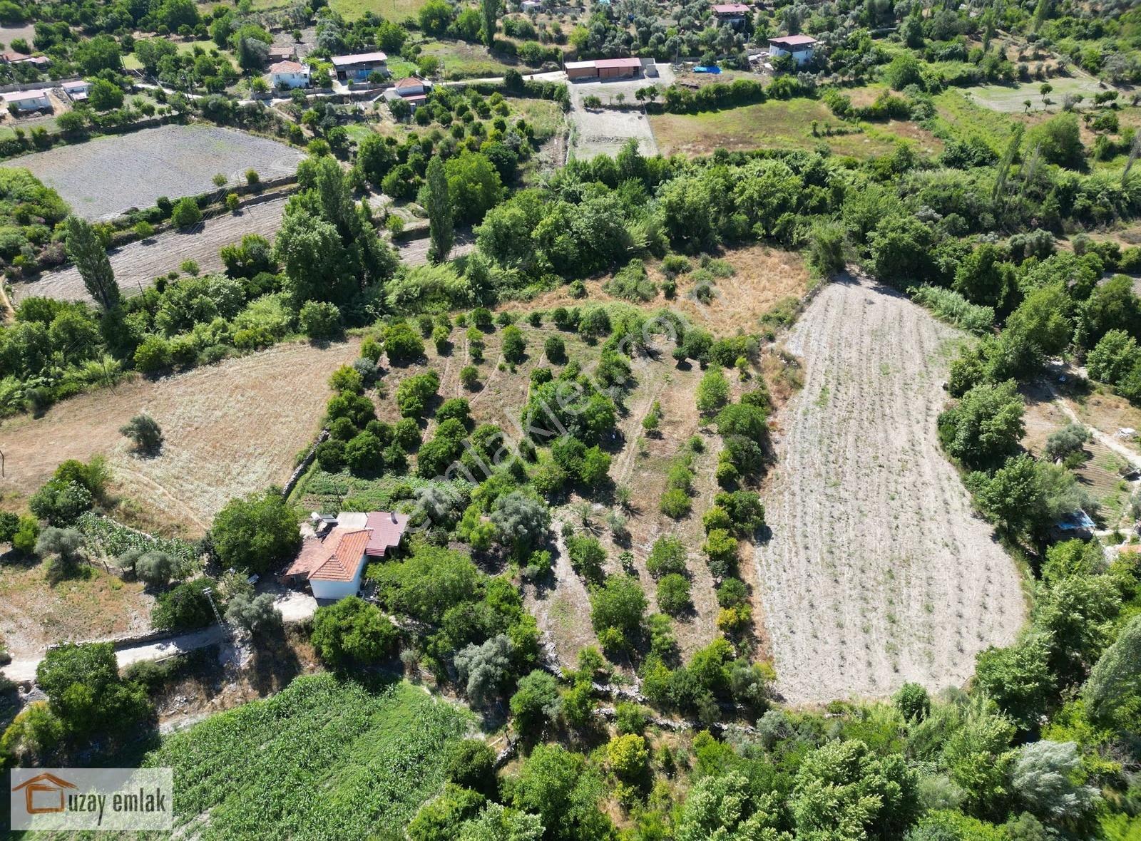 Milas Ören Dereköy'de 1.972 M² Meyve Ağaçlı Satılık Tarla