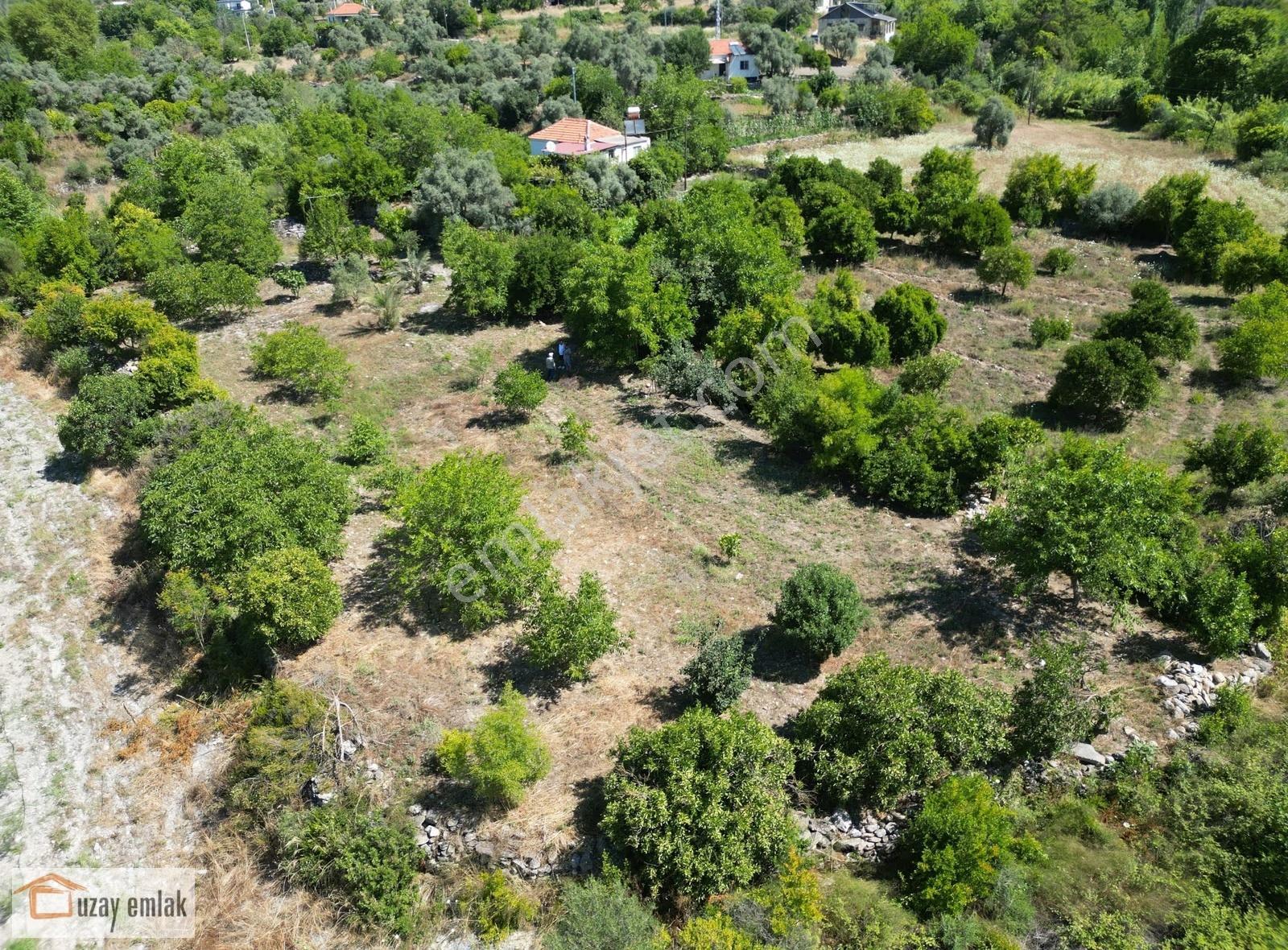 Milas Ören Dereköy'de 1.972 M² Meyve Ağaçlı Satılık Tarla - Görsel 12