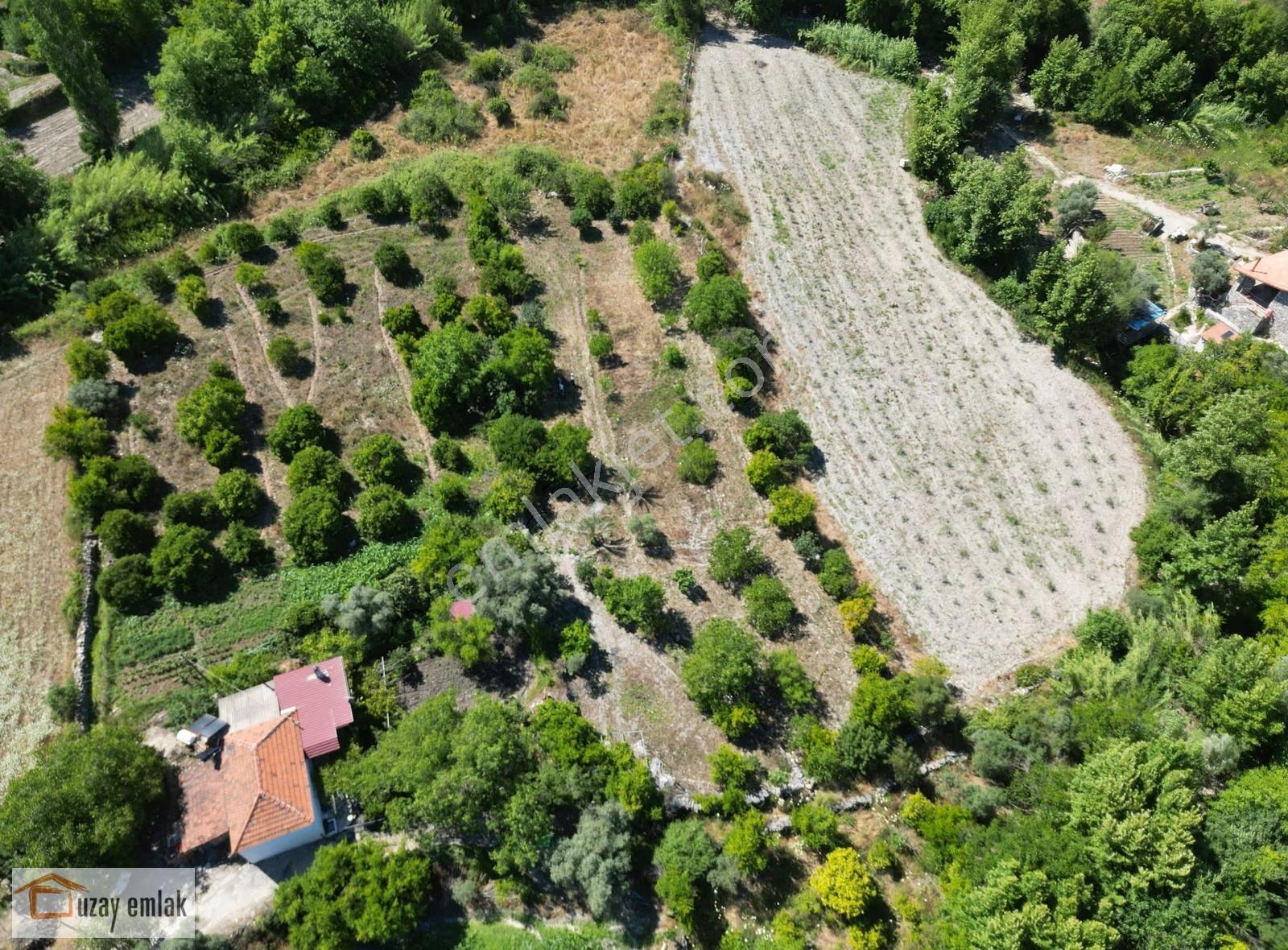 Milas Ören Dereköy'de 1.972 M² Meyve Ağaçlı Satılık Tarla - Görsel 8