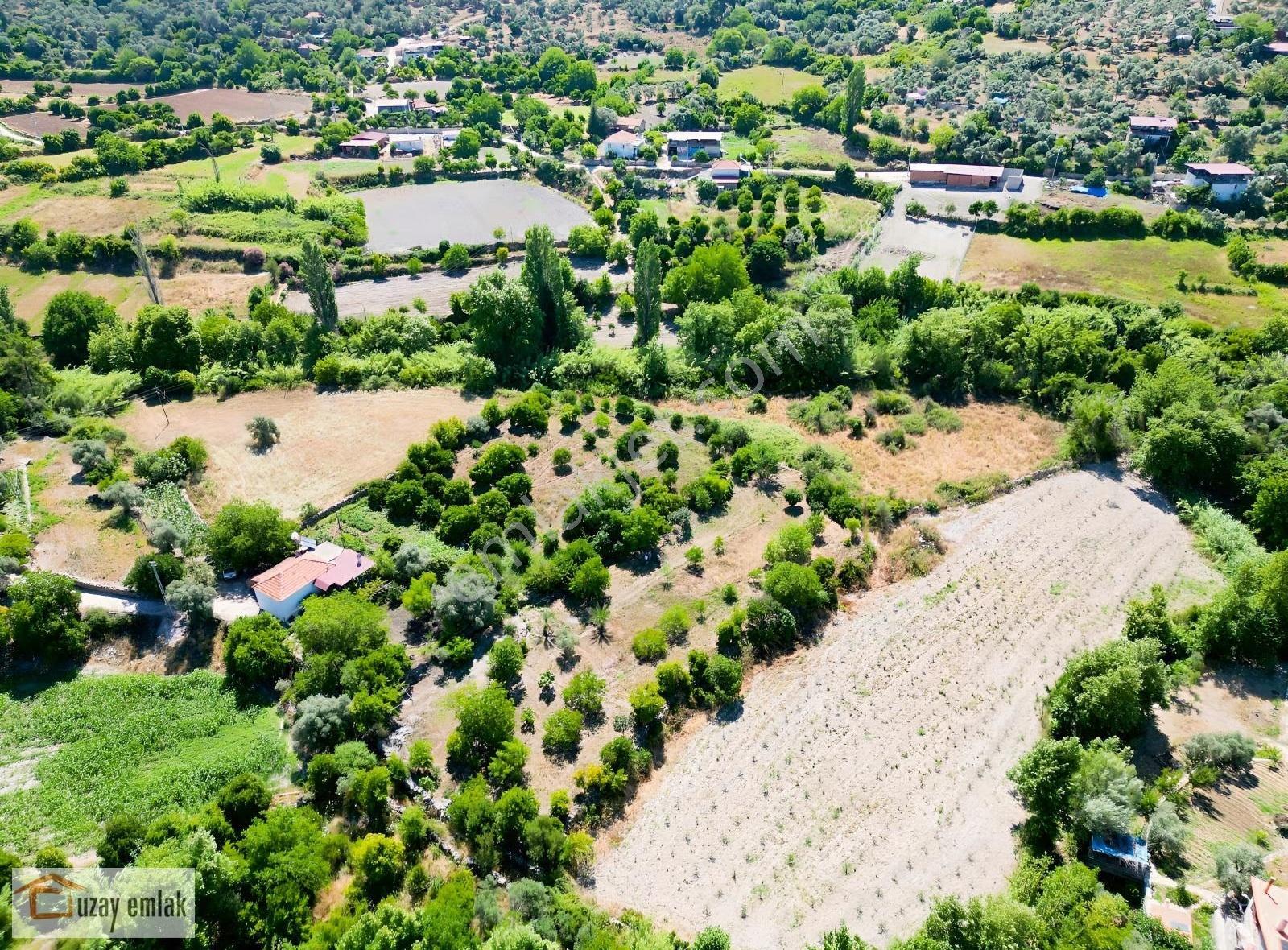 Milas Ören Dereköy'de 1.972 M² Meyve Ağaçlı Satılık Tarla - Görsel 9