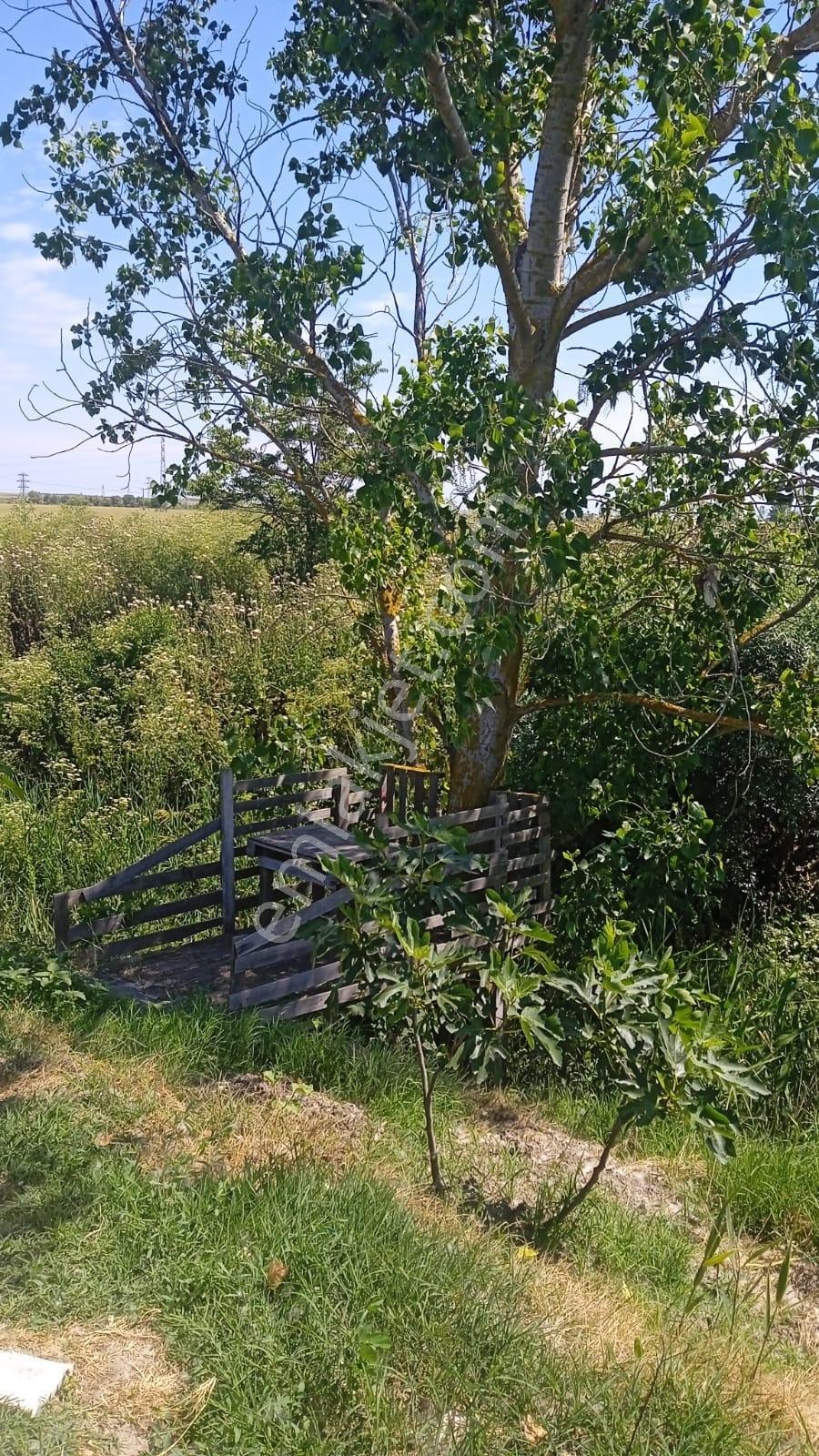 Ergene Ulaş'ta Ergene Nehir Mevkii 2.240 M² Satılık Tarla! - Görsel 22