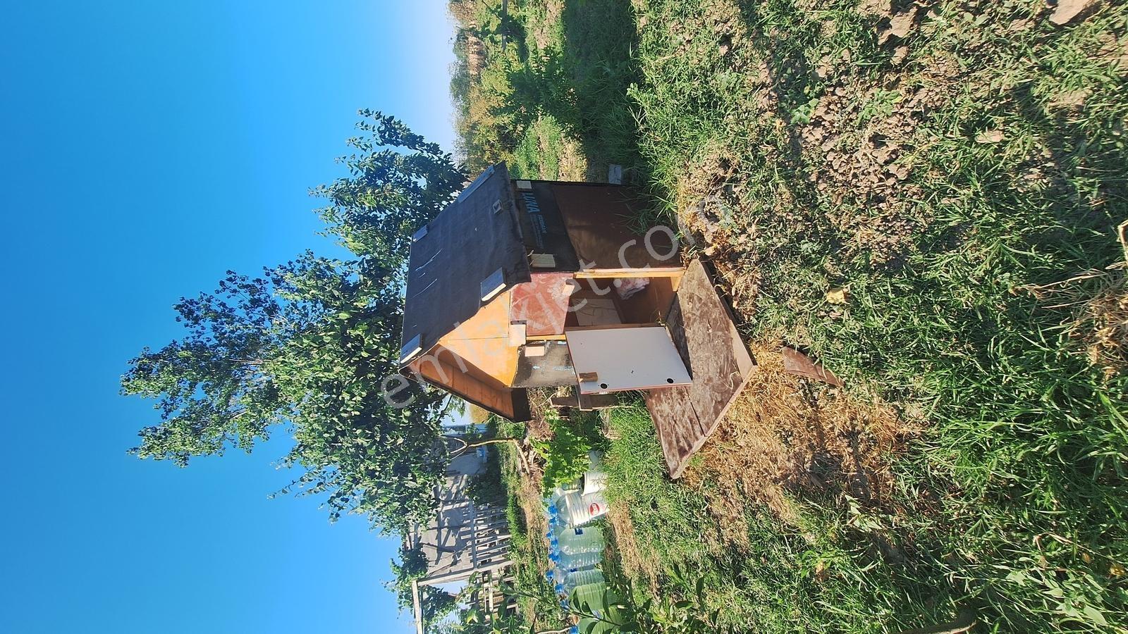 Ergene Ulaş'ta Ergene Nehir Mevkii 2.240 M² Satılık Tarla! - Görsel 7