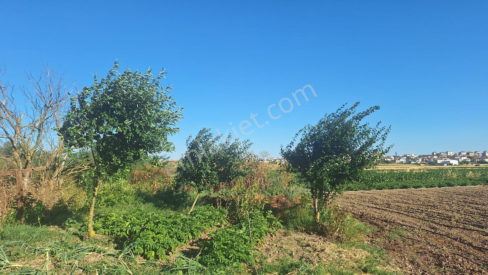 Ergene Ulaş'ta Ergene Nehir Mevkii 2.240 M² Satılık Tarla! - Görsel 18