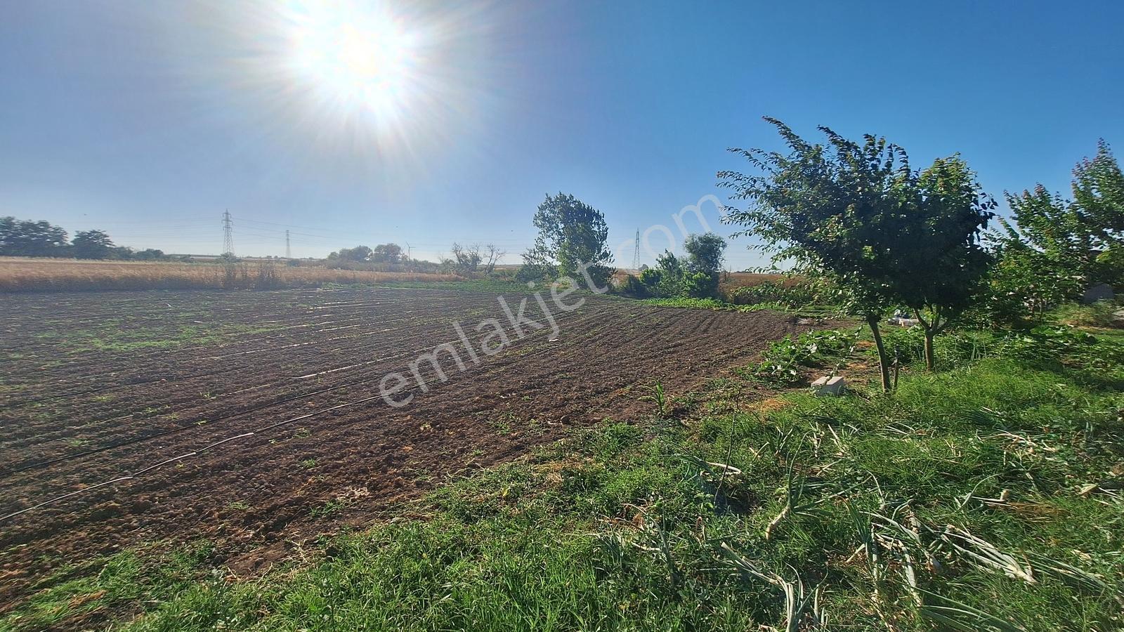 Ergene Ulaş'ta Ergene Nehir Mevkii 2.240 M² Satılık Tarla! - Görsel 10