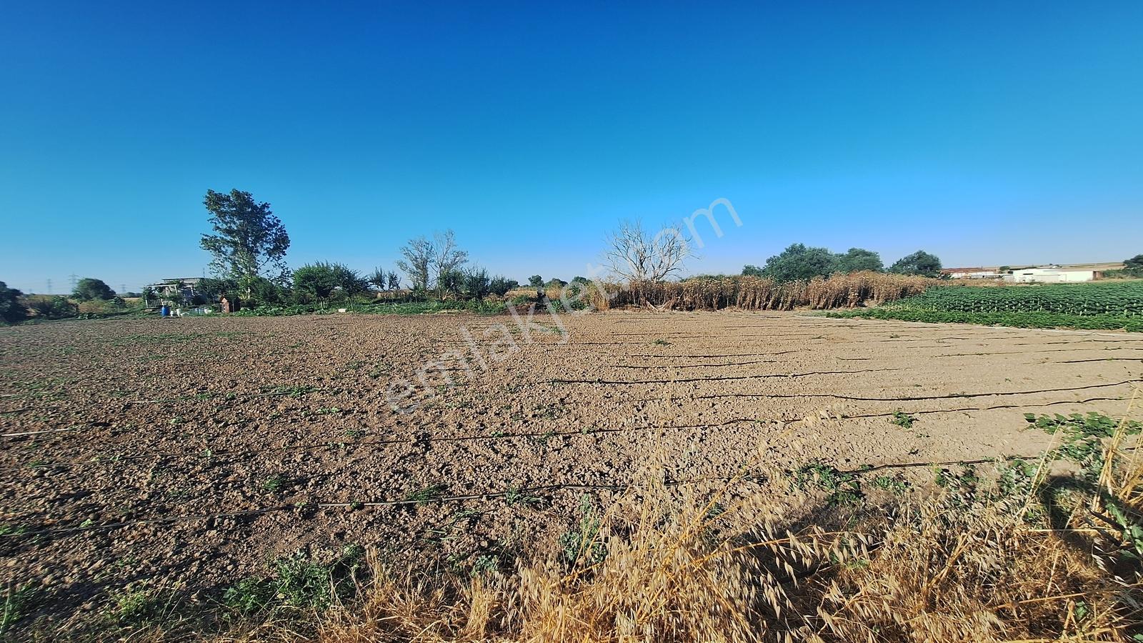 Ergene Ulaş'ta Ergene Nehir Mevkii 2.240 M² Satılık Tarla! - Görsel 15