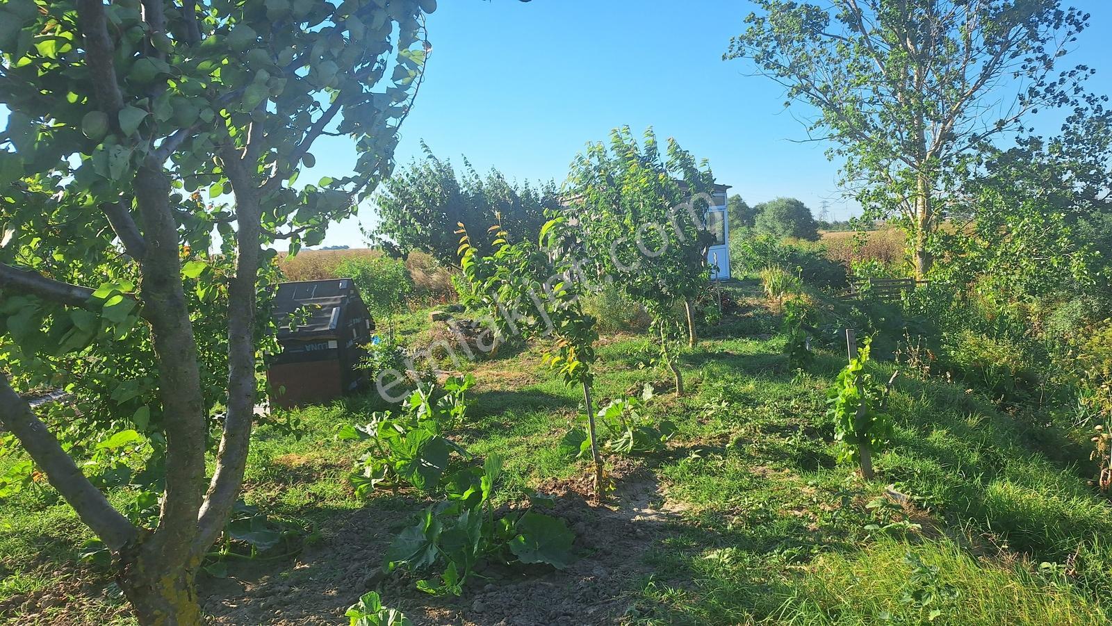 Ergene Ulaş'ta Ergene Nehir Mevkii 2.240 M² Satılık Tarla! - Görsel 5