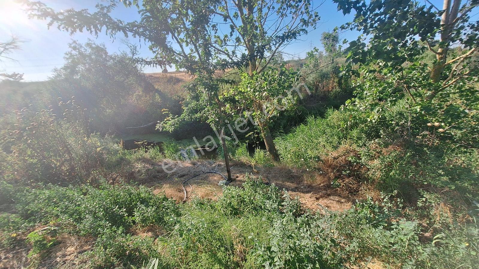 Ergene Ulaş'ta Ergene Nehir Mevkii 2.240 M² Satılık Tarla! - Görsel 8