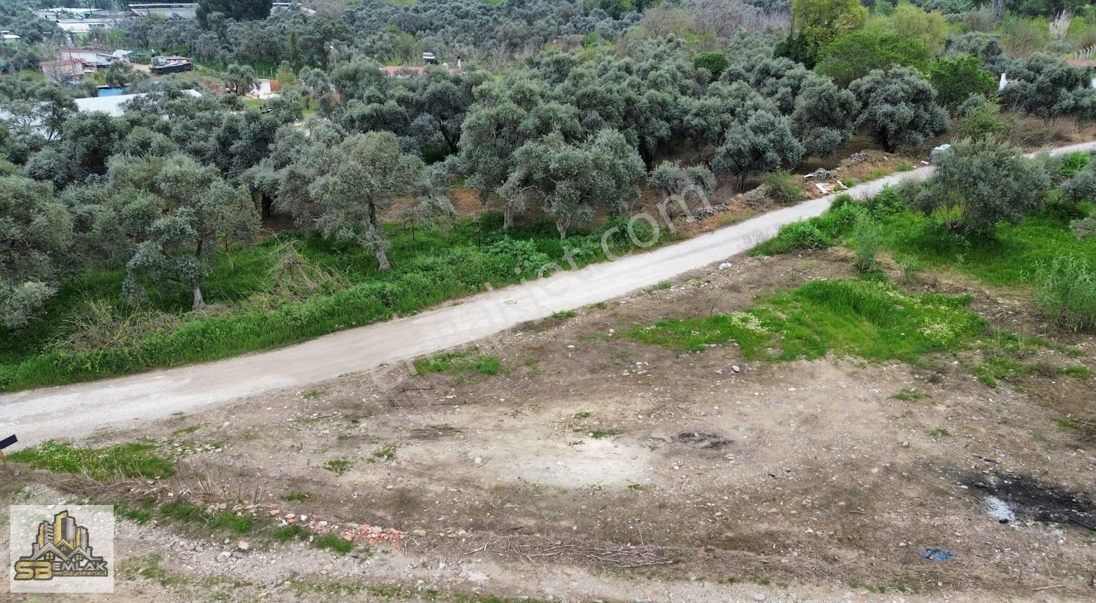 İzmir Tire Sb Emlak'tan Karacaali Mahallesinde Arsa - Görsel 6