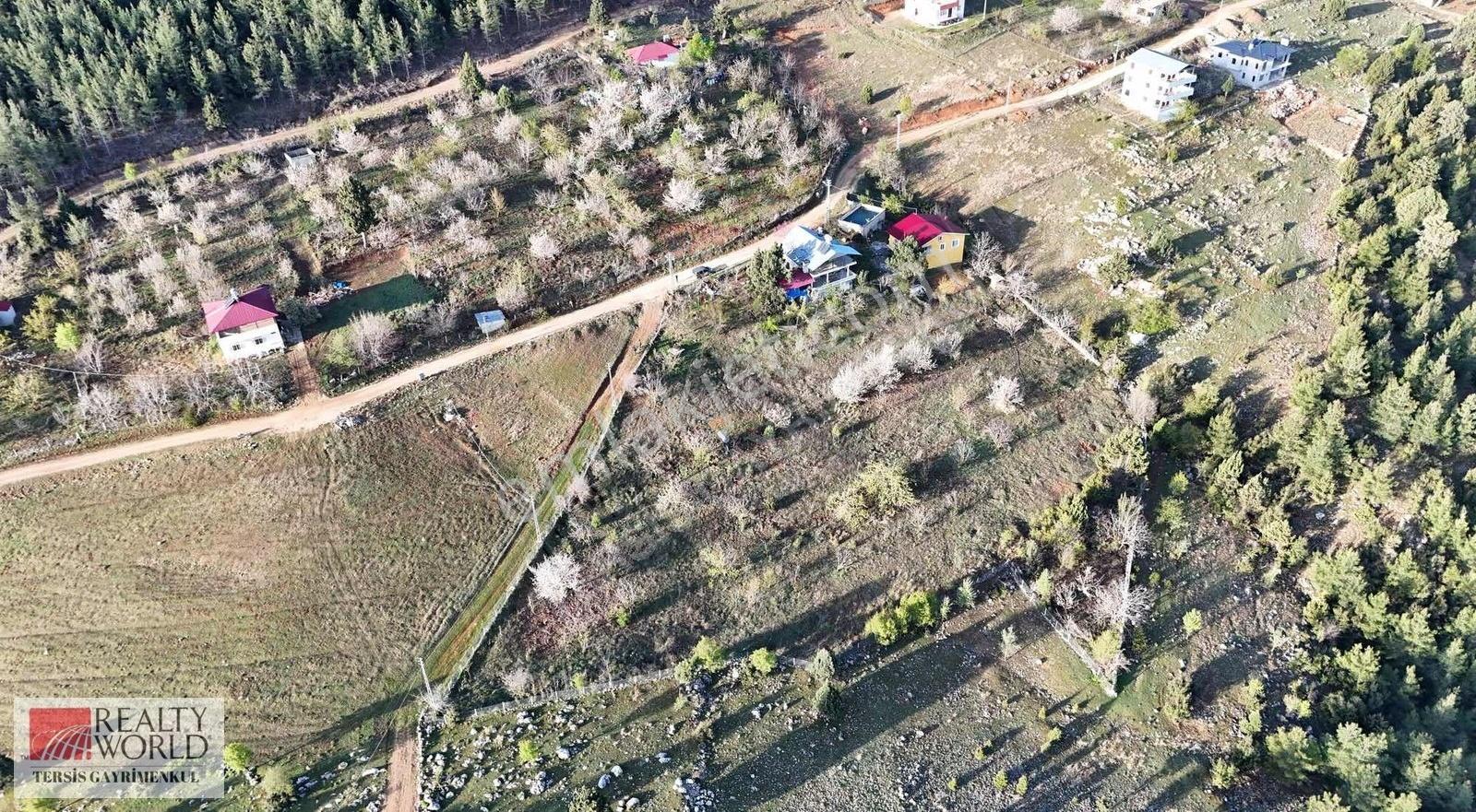 Rw Tersis'den Çamlıyayla Atdağında Satılık Arsa - Görsel 2