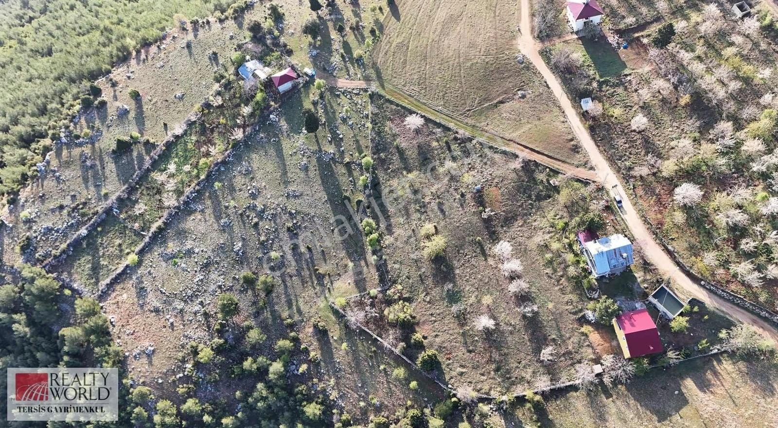 Rw Tersis'den Çamlıyayla Atdağında Satılık Arsa - Görsel 3