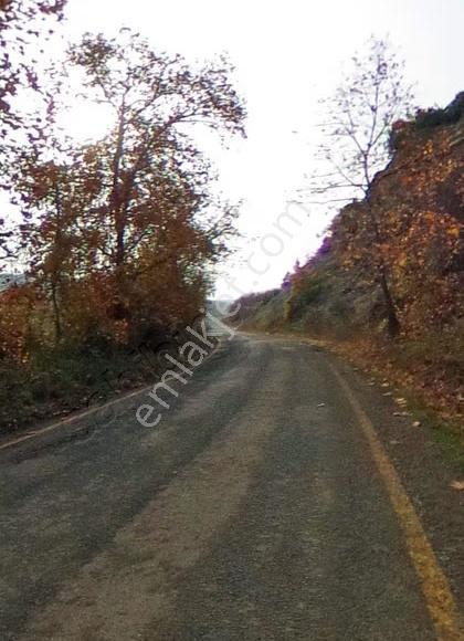Malkara Sağlamtaş Köyünde, Köye Yakın Çok Amaçlı Satılık Tarla - Görsel 3