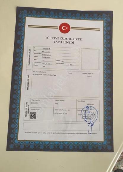 Malkara Sağlamtaş Köyünde, Köye Yakın Çok Amaçlı Satılık Tarla - Görsel 4