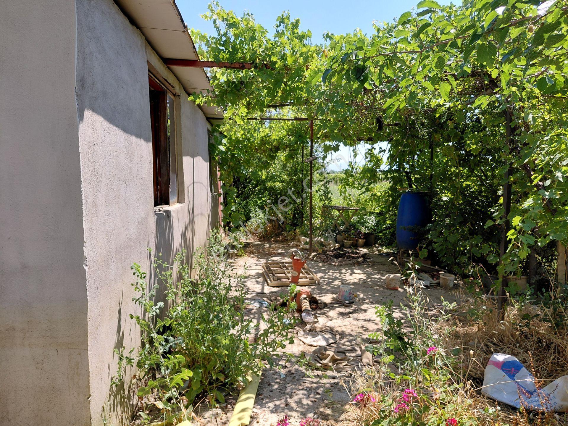 Manisa Şehzadeler Yeniharmandalı Yoluna Sıfıryukarı Çobanisa Tapu 8.000 M2 Tarla 3 - Görsel 13