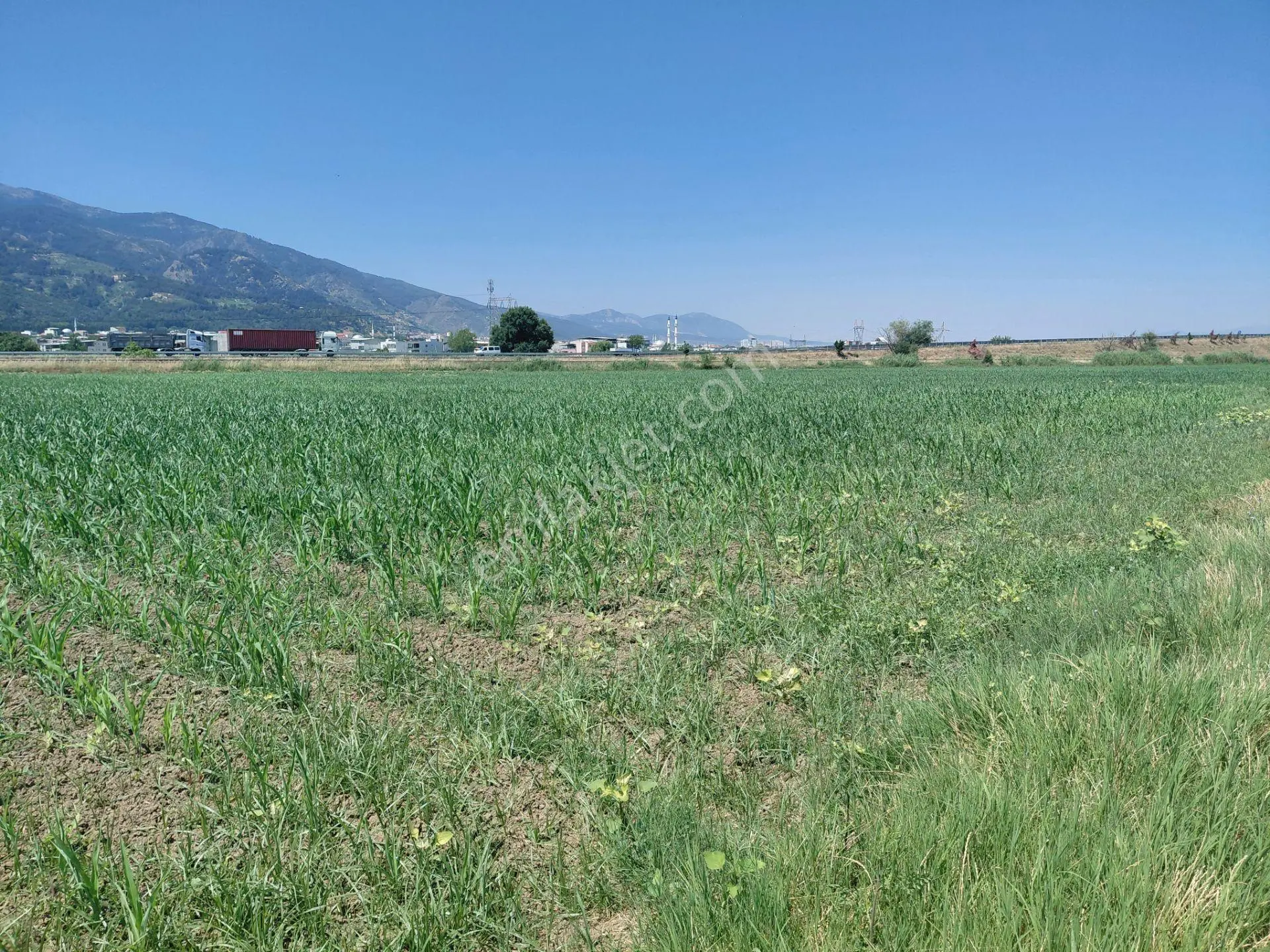 Şehzadeler Yukarıçobanisa Tapu Turgutlu Çevre Yoluna Cepheli Satılık 10.500 M2 Boş Tarla - Görsel 3
