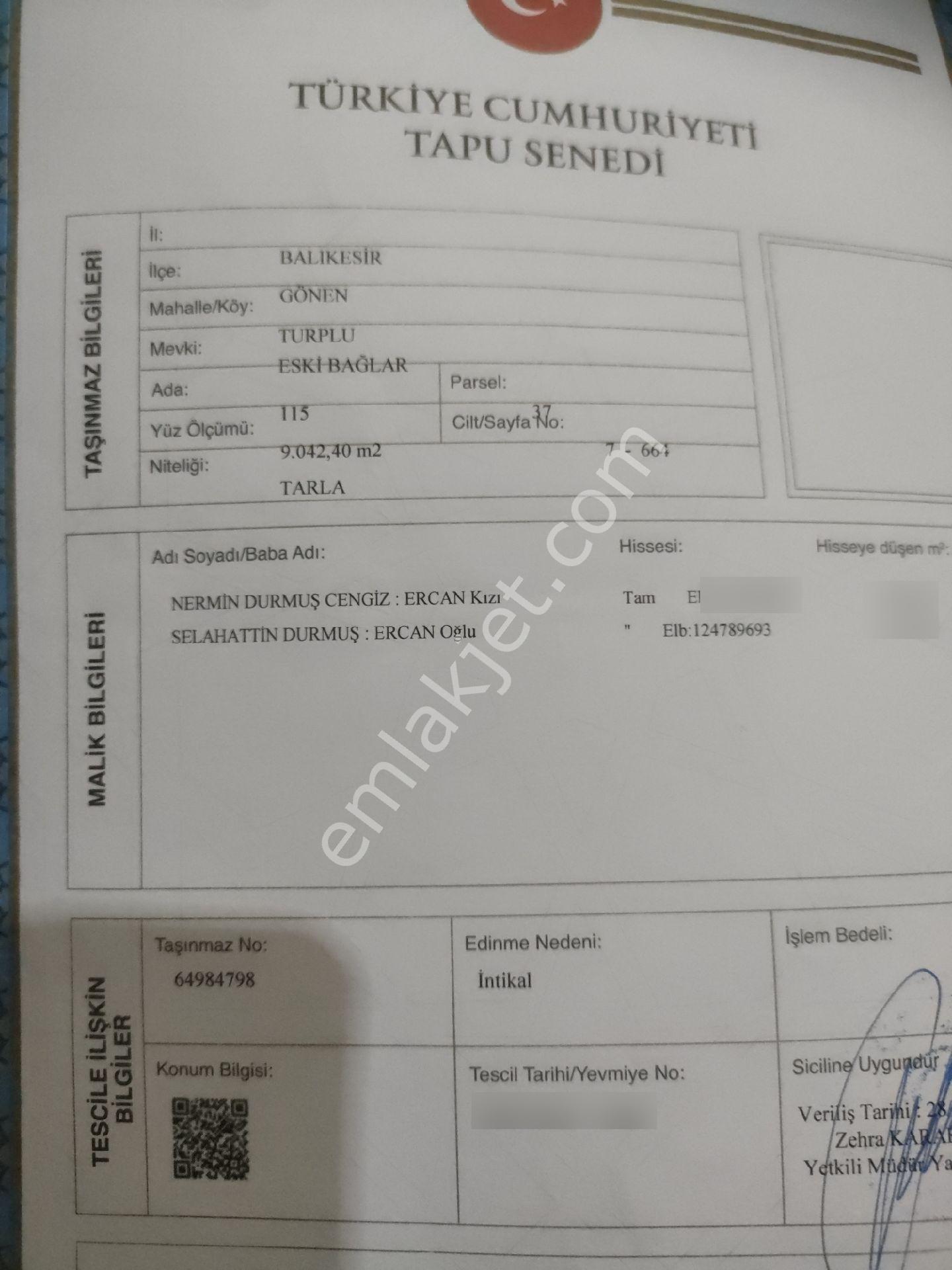 Sahibinden Acil Satılık Yatırımlık Verimli Tarla - Görsel 4