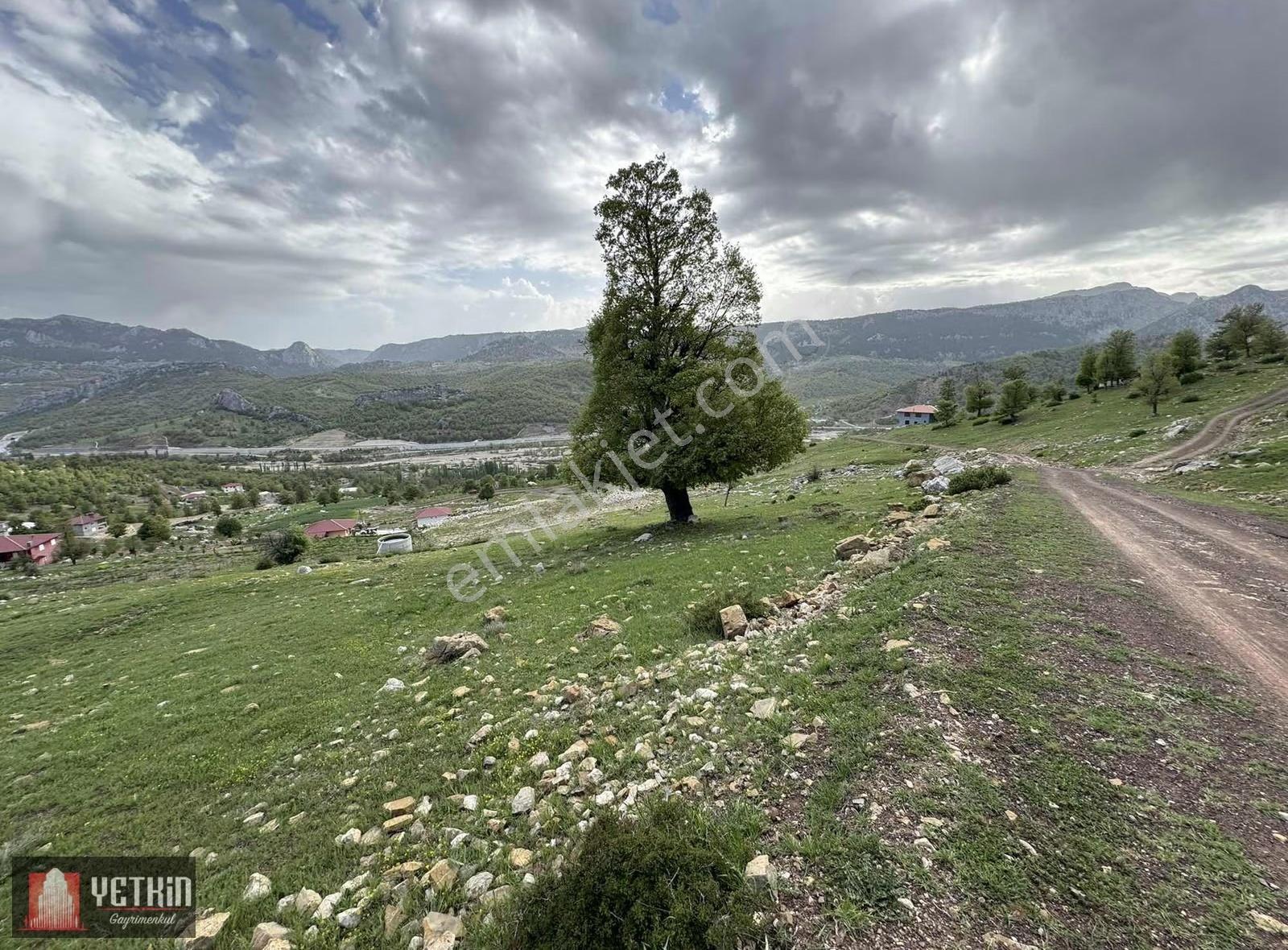 Alanya Tırlarlı'da Doğa Manzaralı Satılık 6.150 M² Tarla - Görsel 9