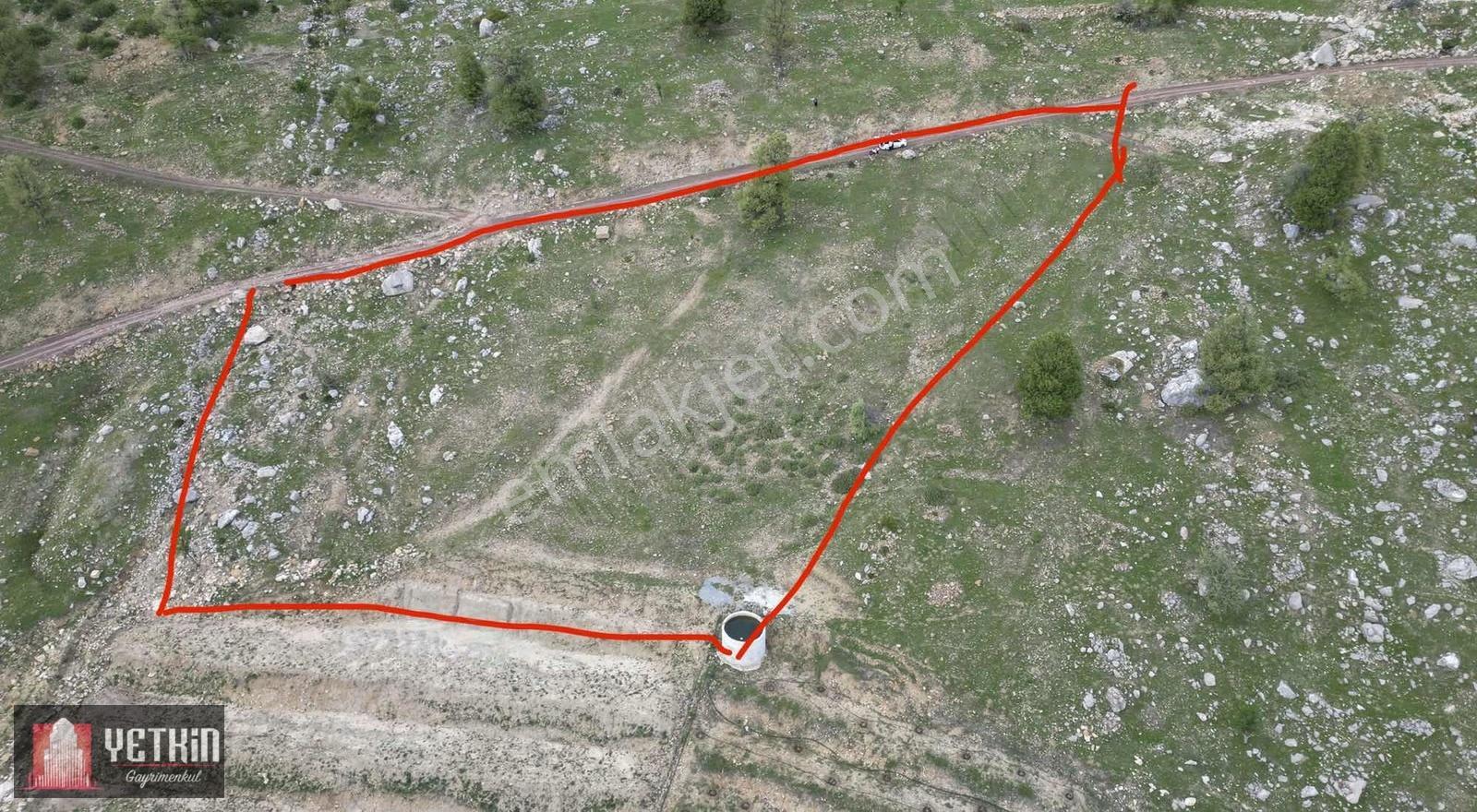 Alanya Tırlarlı'da Doğa Manzaralı Satılık 6.150 M² Tarla