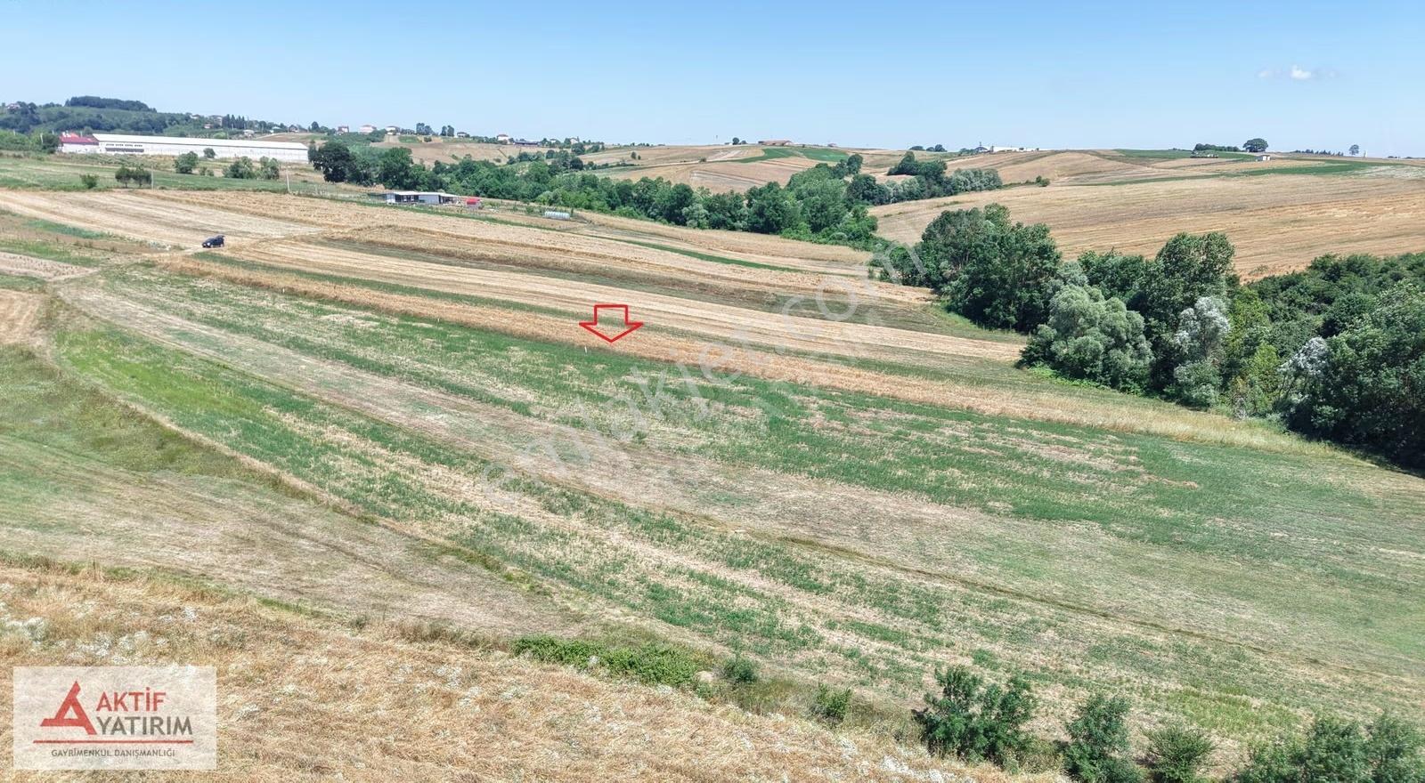 Kandıra'da Köy Kenarı 1975 M2 Ferah Konumda Cazip Fiyatlı Tarla - Görsel 30