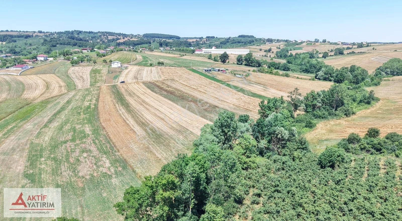 Kandıra'da Köy Kenarı 1975 M2 Ferah Konumda Cazip Fiyatlı Tarla - Görsel 16