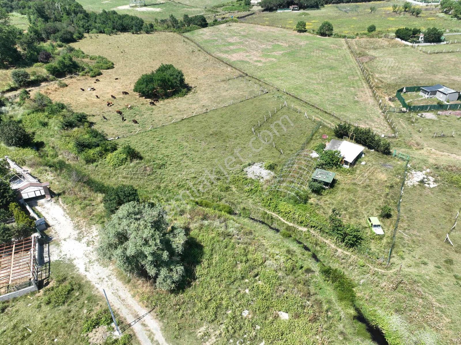 Arnavutköy Taşoluk Da Kupon Arsa - Görsel 9