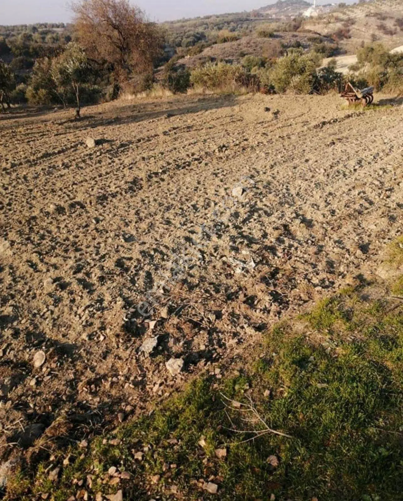 İmarli Arsa 524 M2 İmarli Saruhanlı Hacimusa - Görsel 2