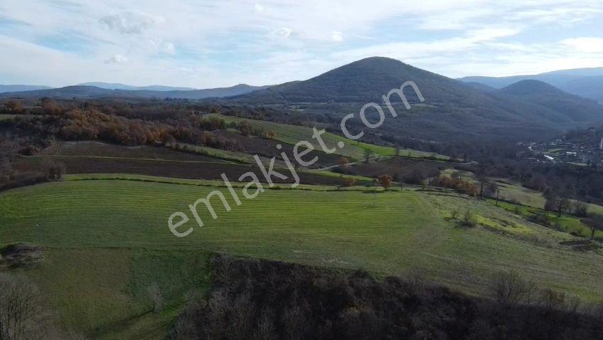 Öztarlacıdan Derekadı Satılık 6500 M2 Kaplıcaya 700 Metre - Görsel 5
