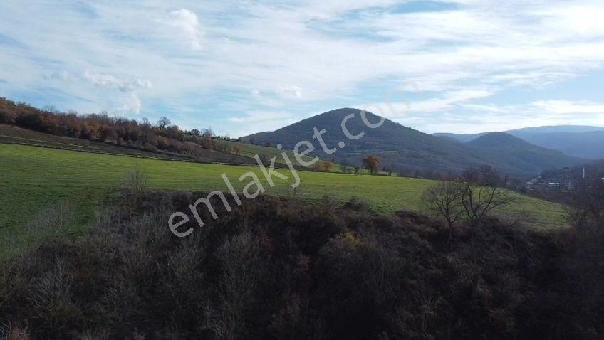 Öztarlacıdan Derekadı Satılık 6500 M2 Kaplıcaya 700 Metre - Görsel 4