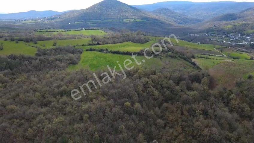 Öztarlacıdan Derekadı Satılık 6500 M2 Kaplıcaya 700 Metre - Görsel 20