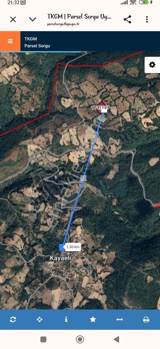Değerine Değer Katacak Toprak! Kepsut'ta Acil Satılık 5.592 M