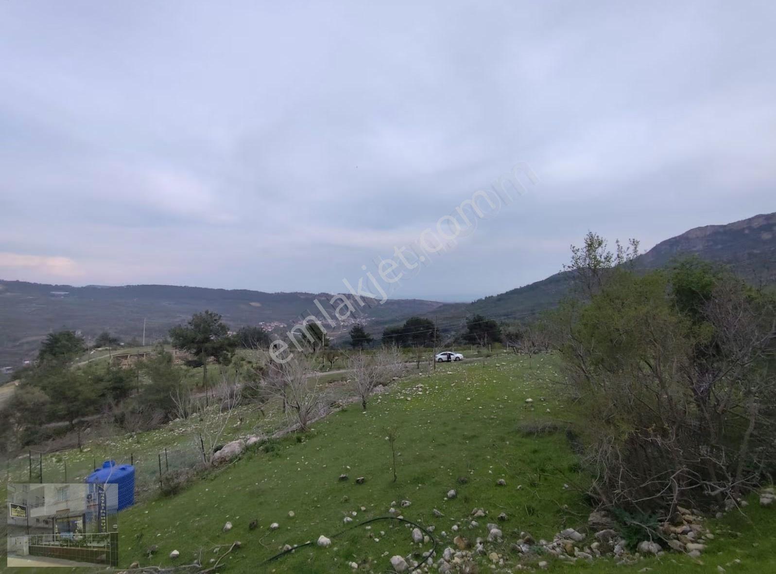 Yenişehir Turunçlu 198/7 Parsel Asfalt Yol Kenarında