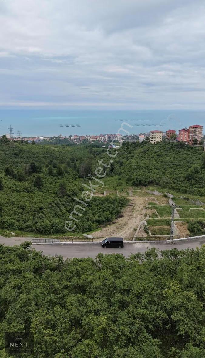 Arsin Konak Mahallesinde Satılık Arsa 4.250m2 Arsa - Görsel 8